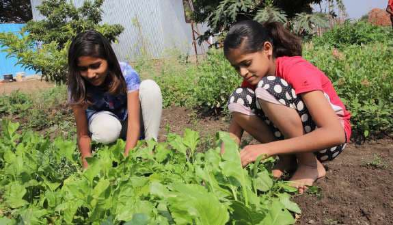 Children tending plants at Krushigram